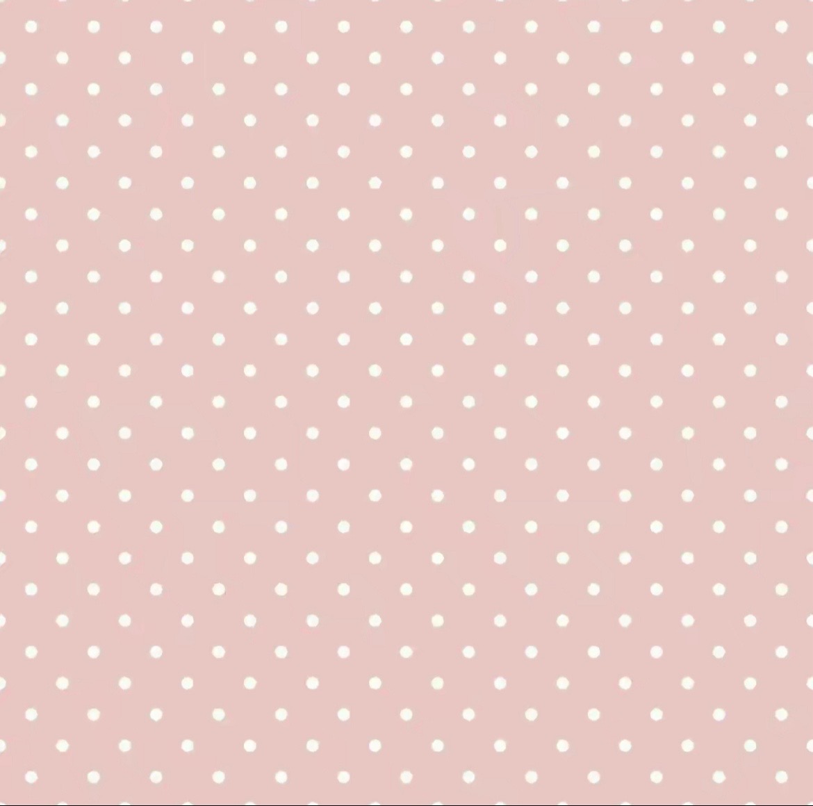 @꒰ঌ ⋮🧸ྀི ⋮ 𝐷𝑎𝑝ℎ𝑛𝑒 .ᐟ ໒꒱