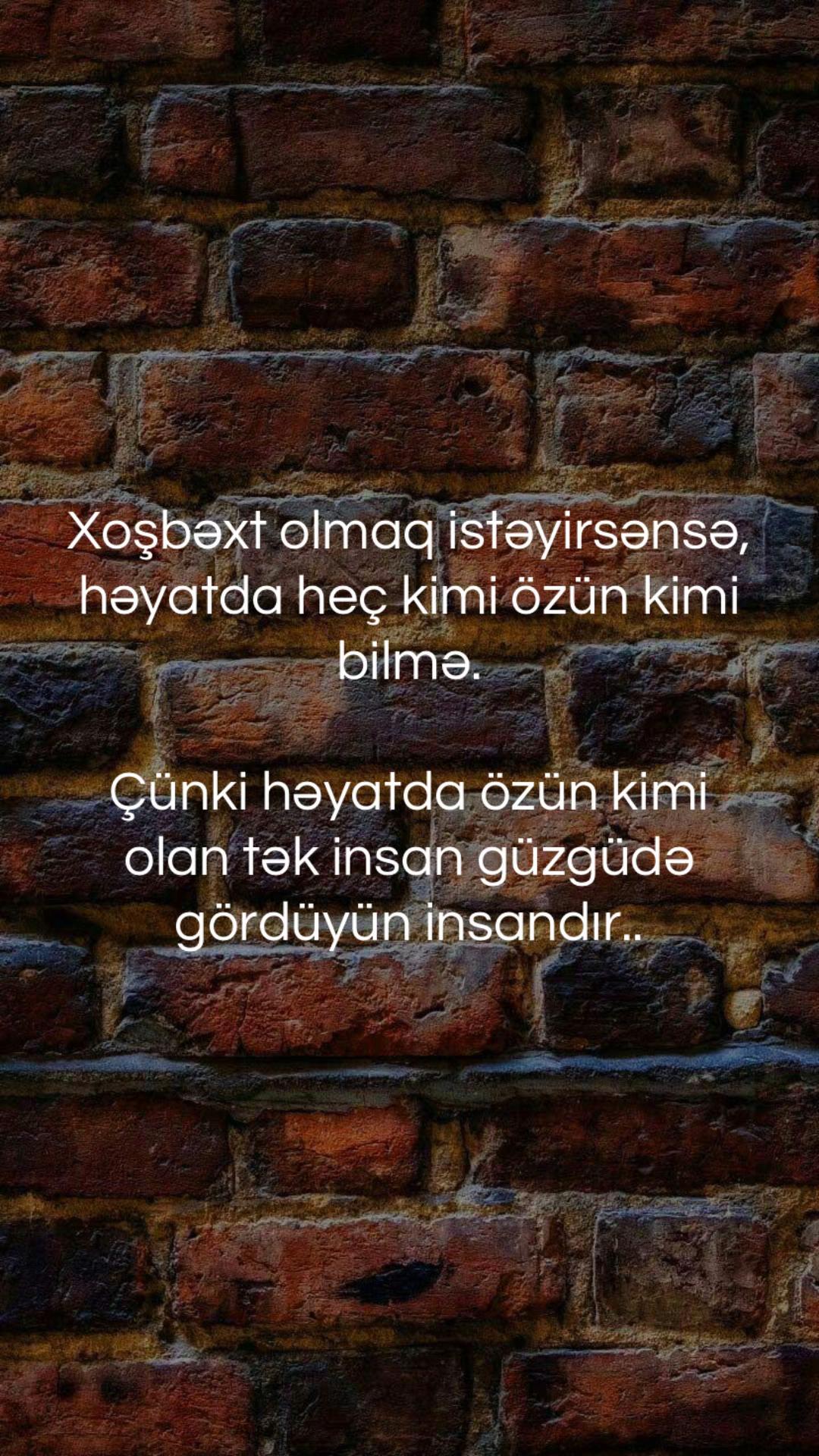 @musiqi_qidasi