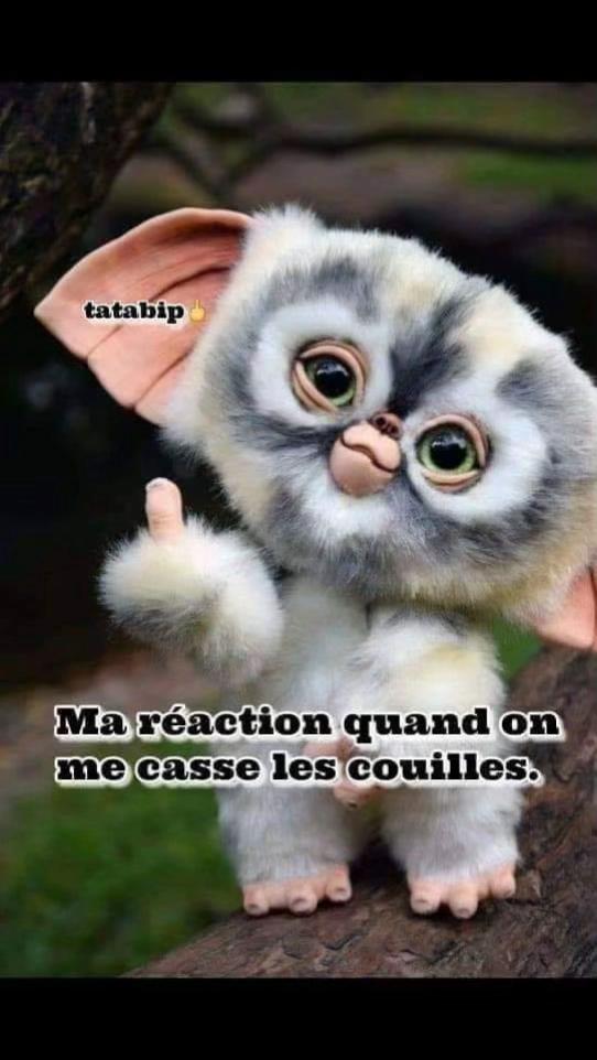 @Vivi