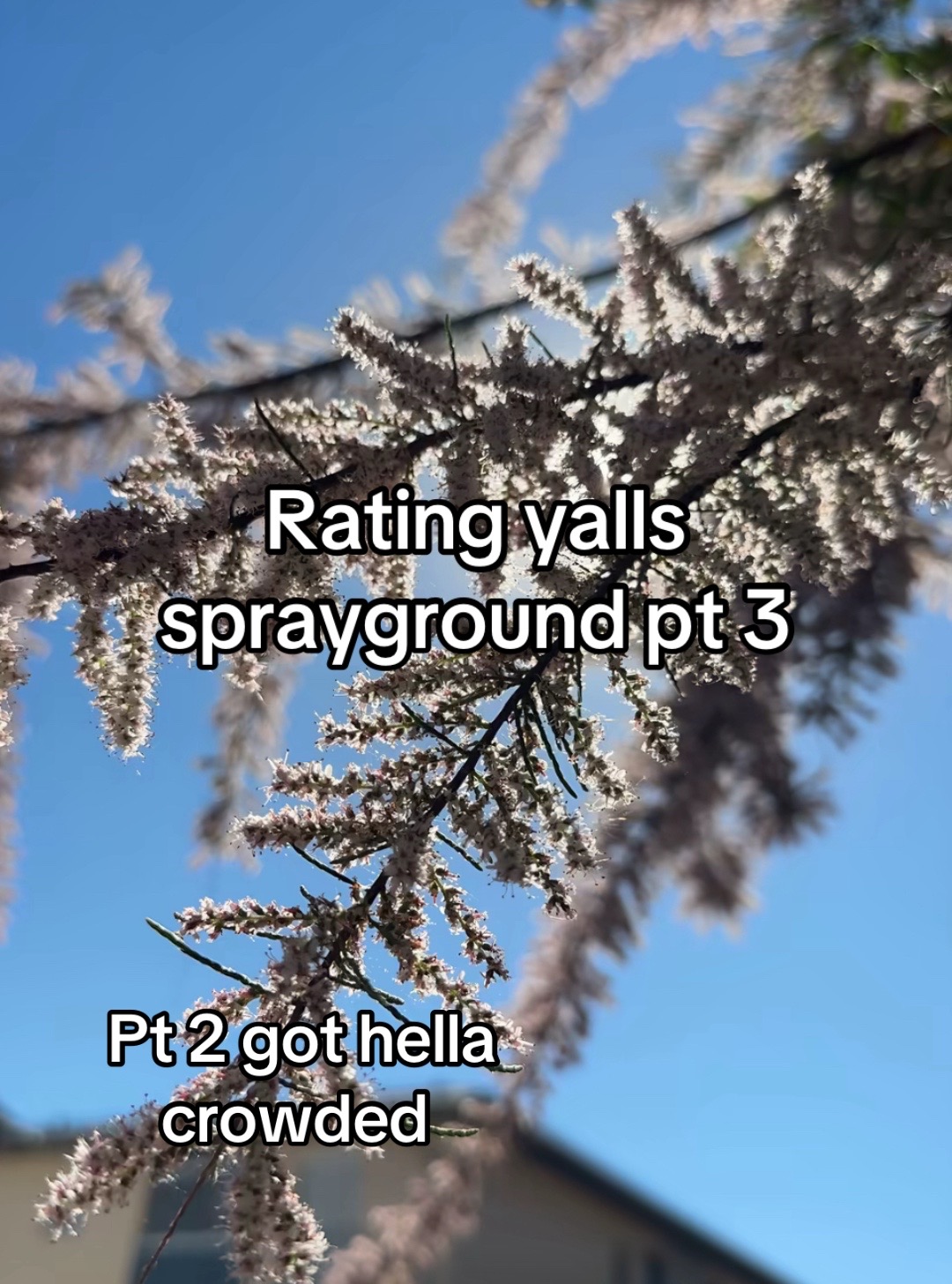 @• • •