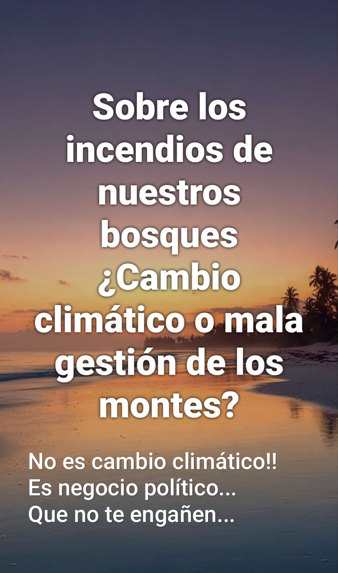 @FTorres Peluca