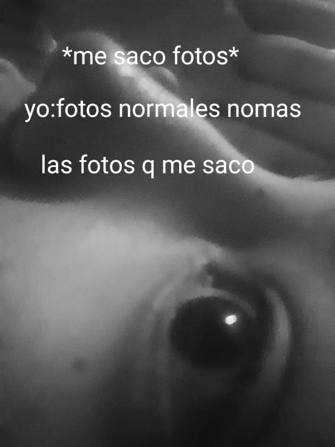 @Pastel_7403