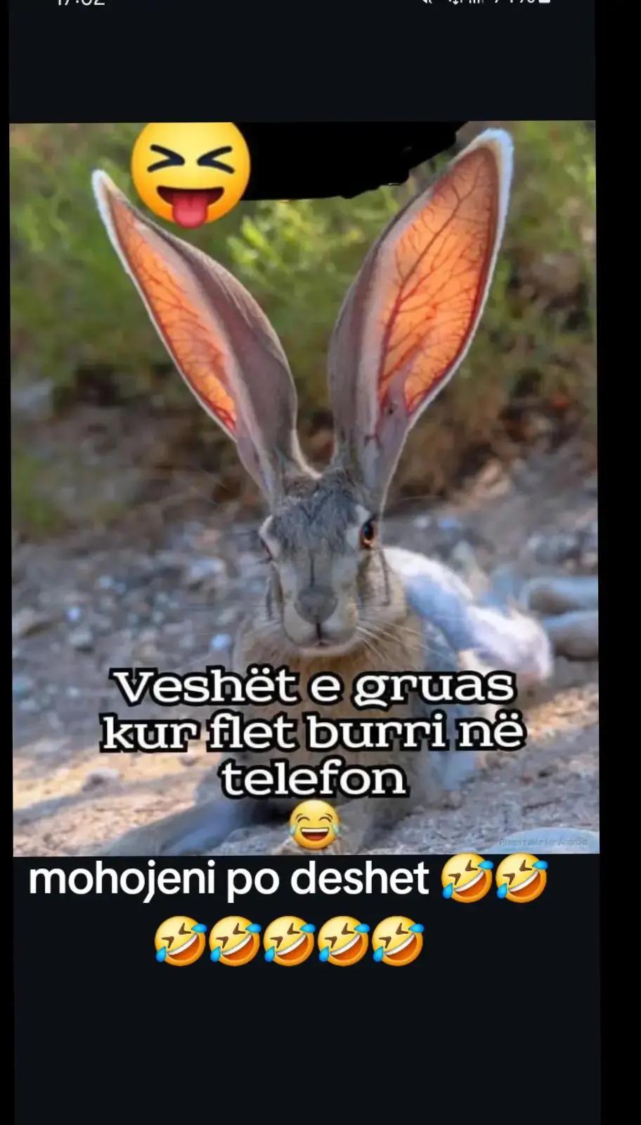 @KLEANT🇦🇱✅️