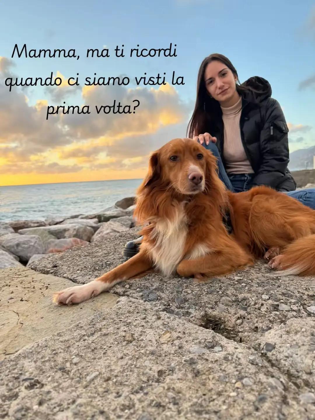 @Chiara🌷
