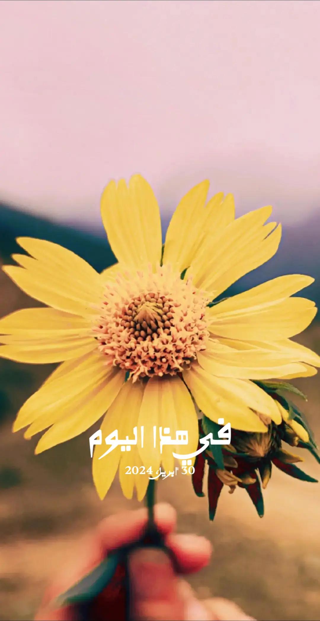 @هـيروو||📸"ᵉᶦ''