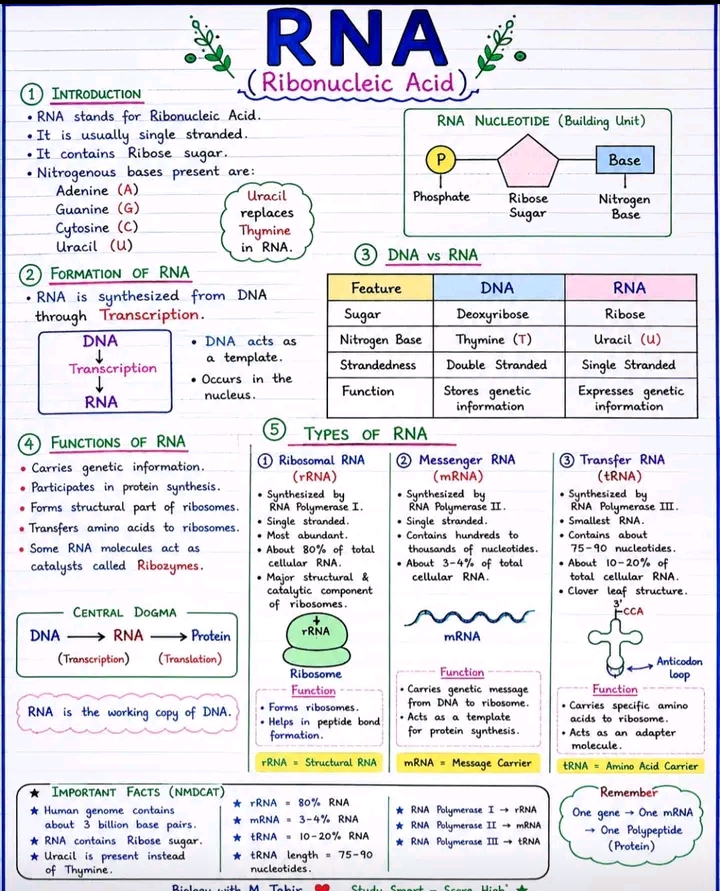 @All science Note&MCQS 9 to B.s