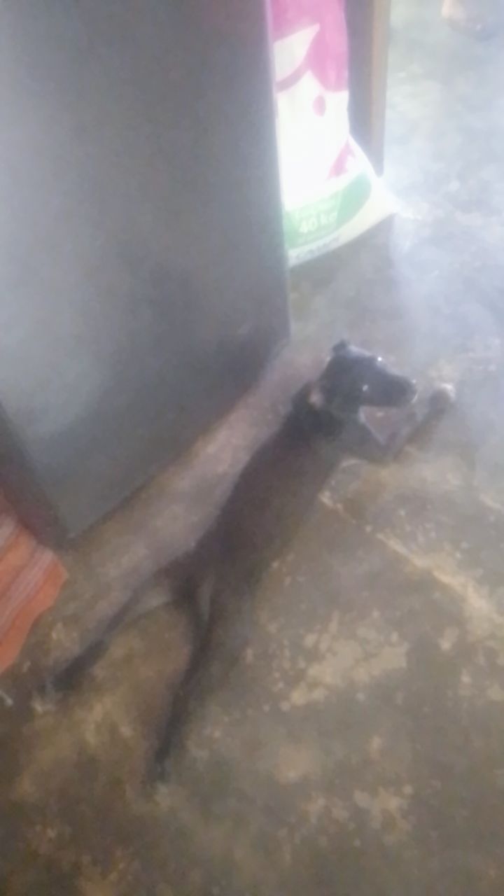 @Yani Tun