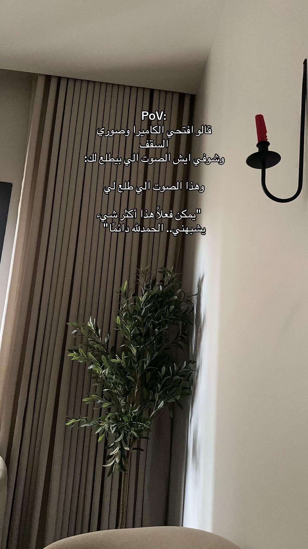 @amnah y.🤎