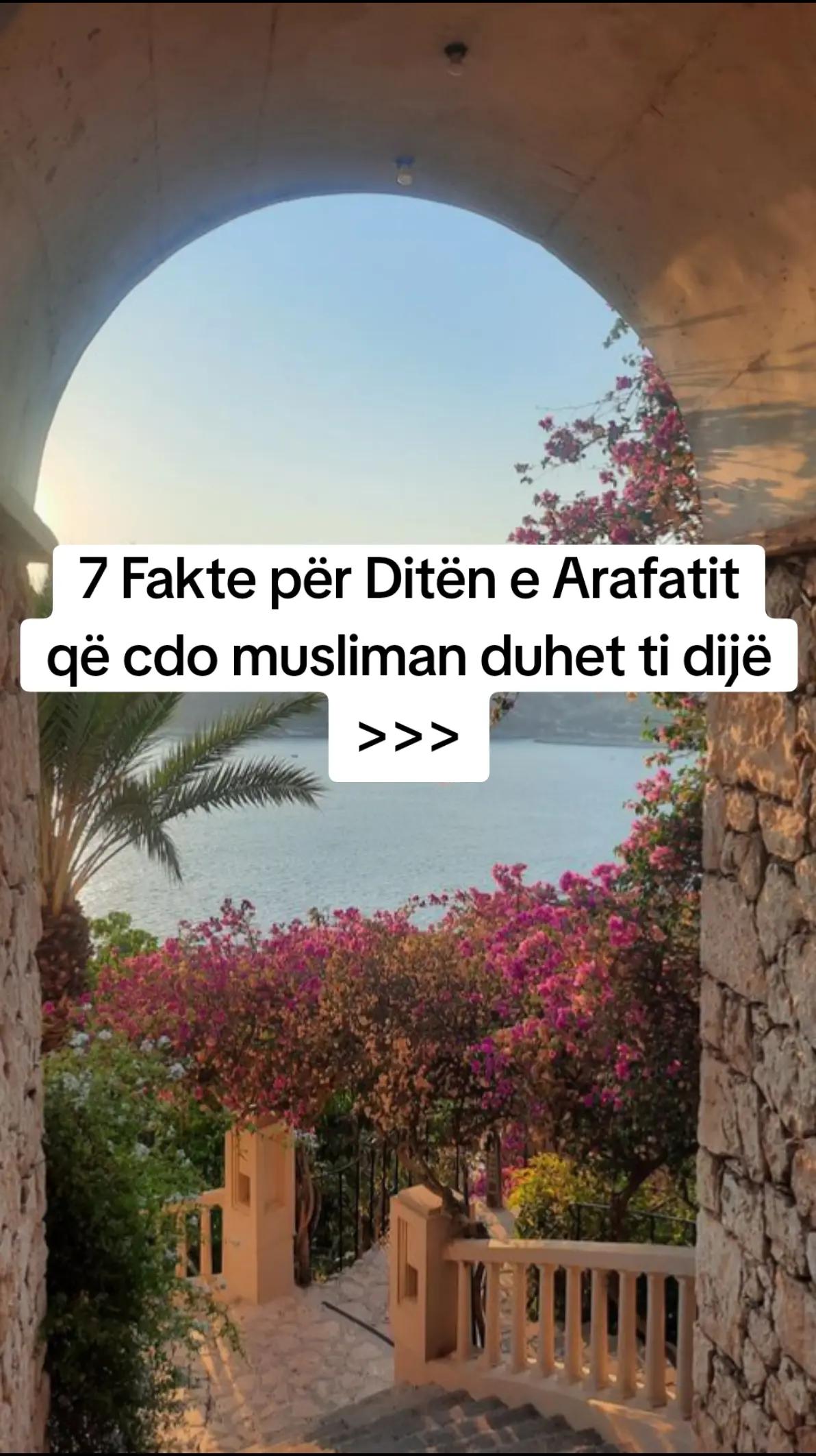 @drite imani✨✨