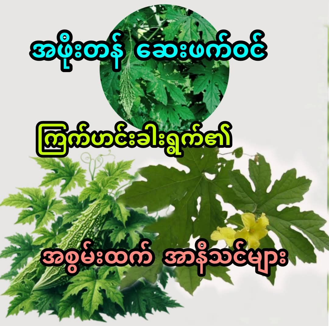 @đđŤđŤ_đđđ˘ đđ¨đŽđŤđ§đđ˛