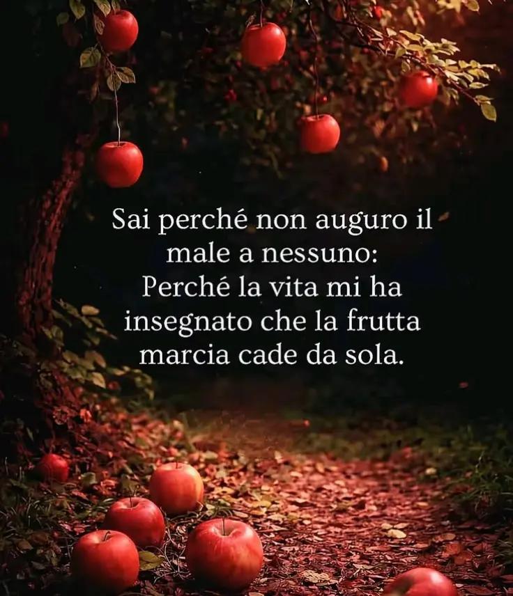 @🩷🩷 FrancescA 💕💕💎💎
