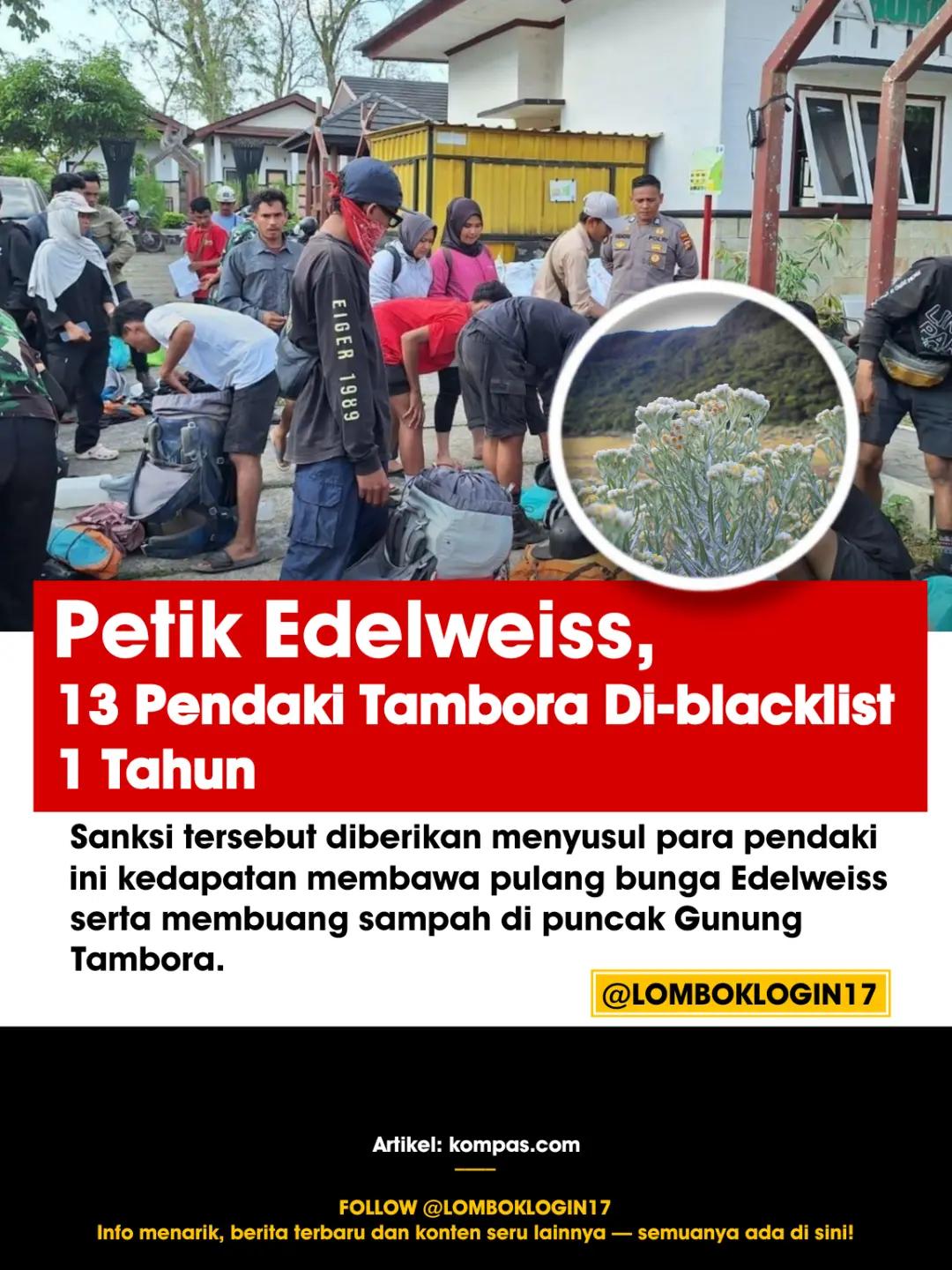 @LOMBOK LOGIN