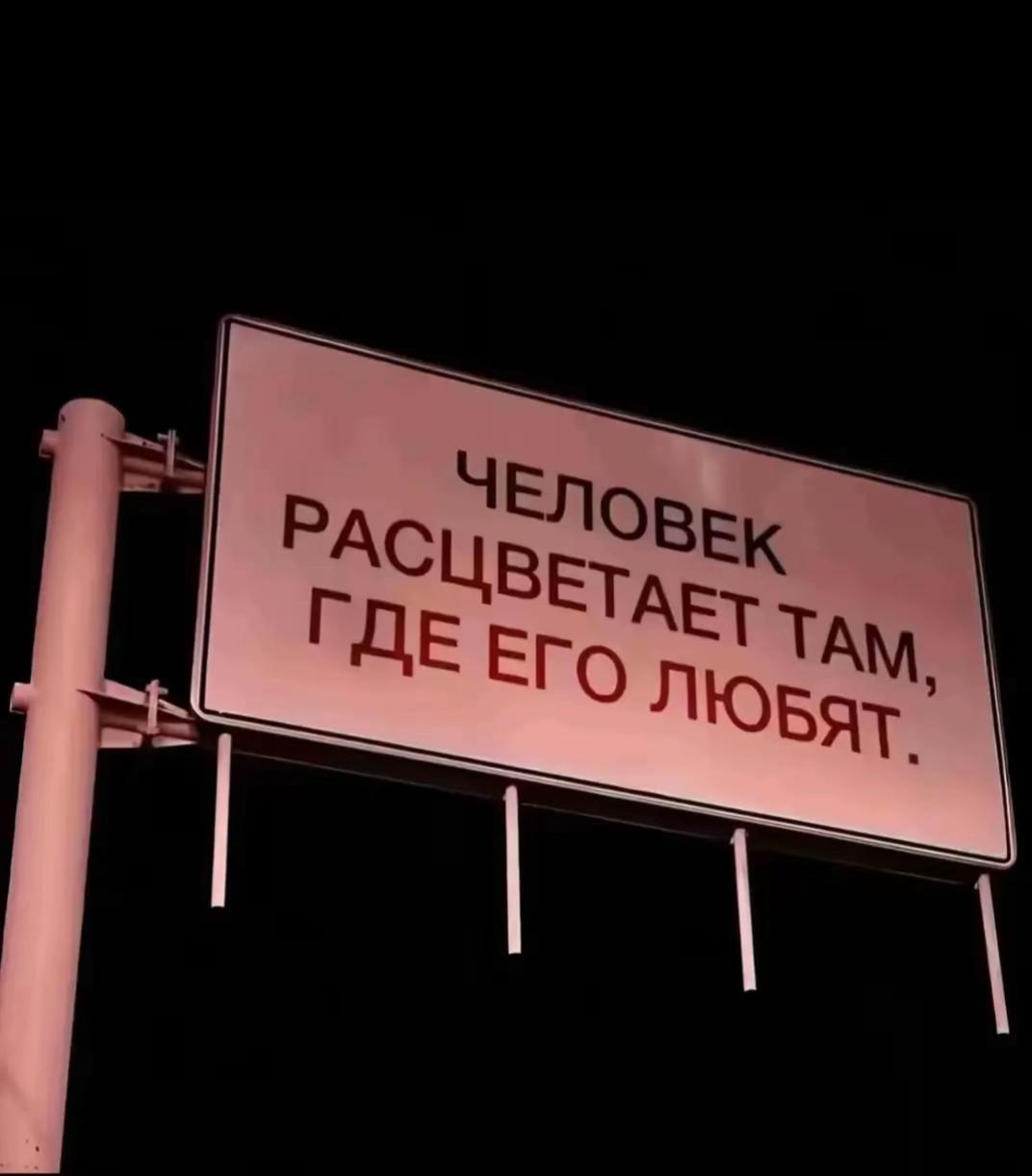 @thedeadguy1🚬
