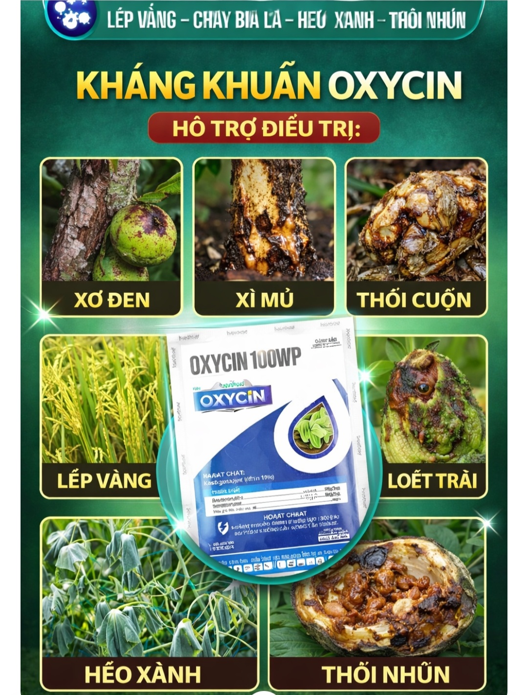 @LUONG THI MAI MAI