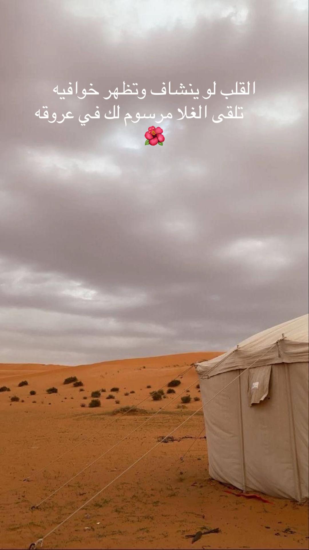 @شوق الشيباني 𓃴♡: