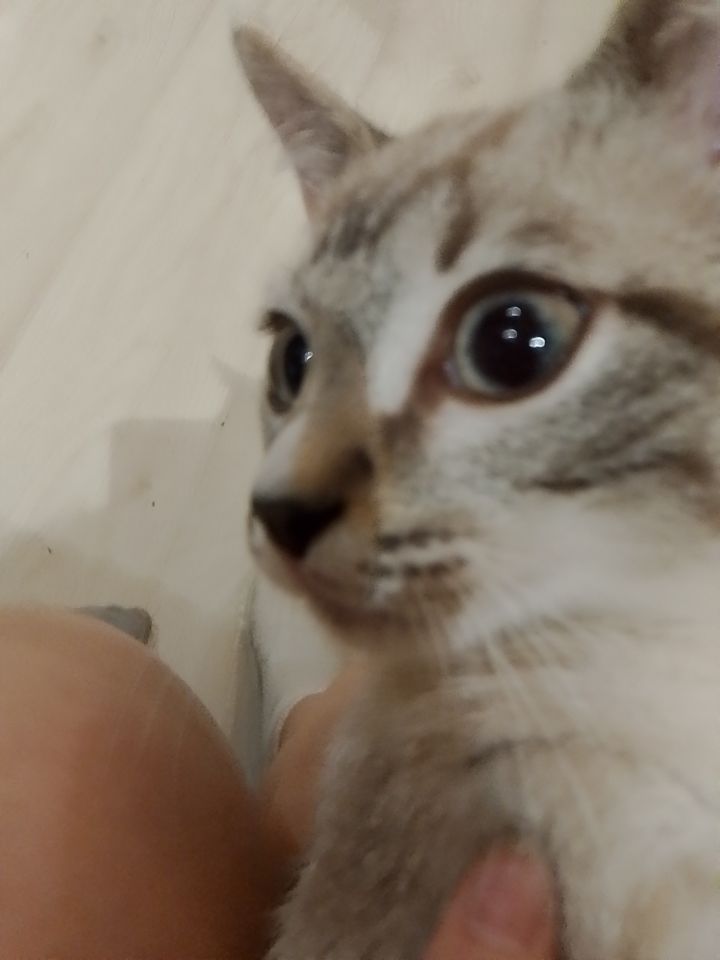 @кристишка🪽