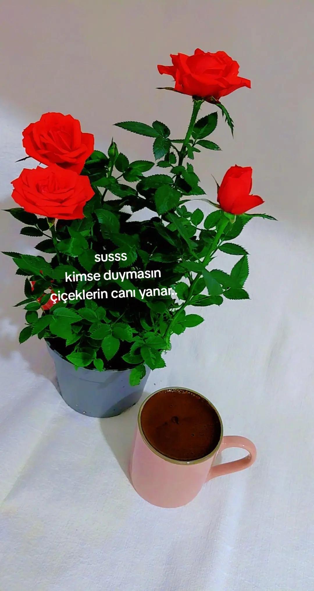 @tuğ&ccedil;e