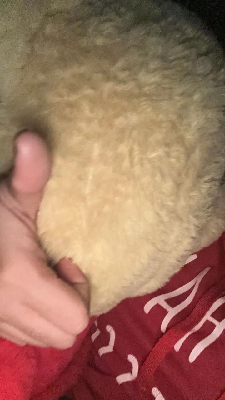 @yourmanje🦋