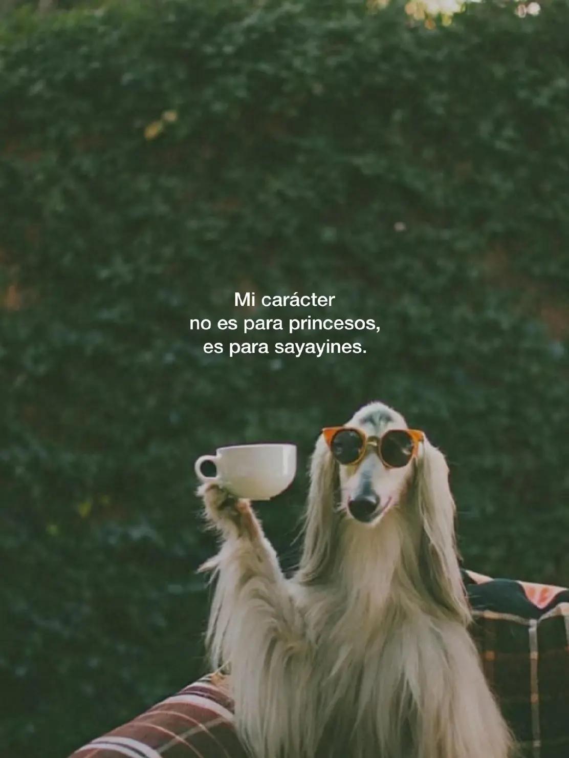 @jeimi Carrillo 🦋