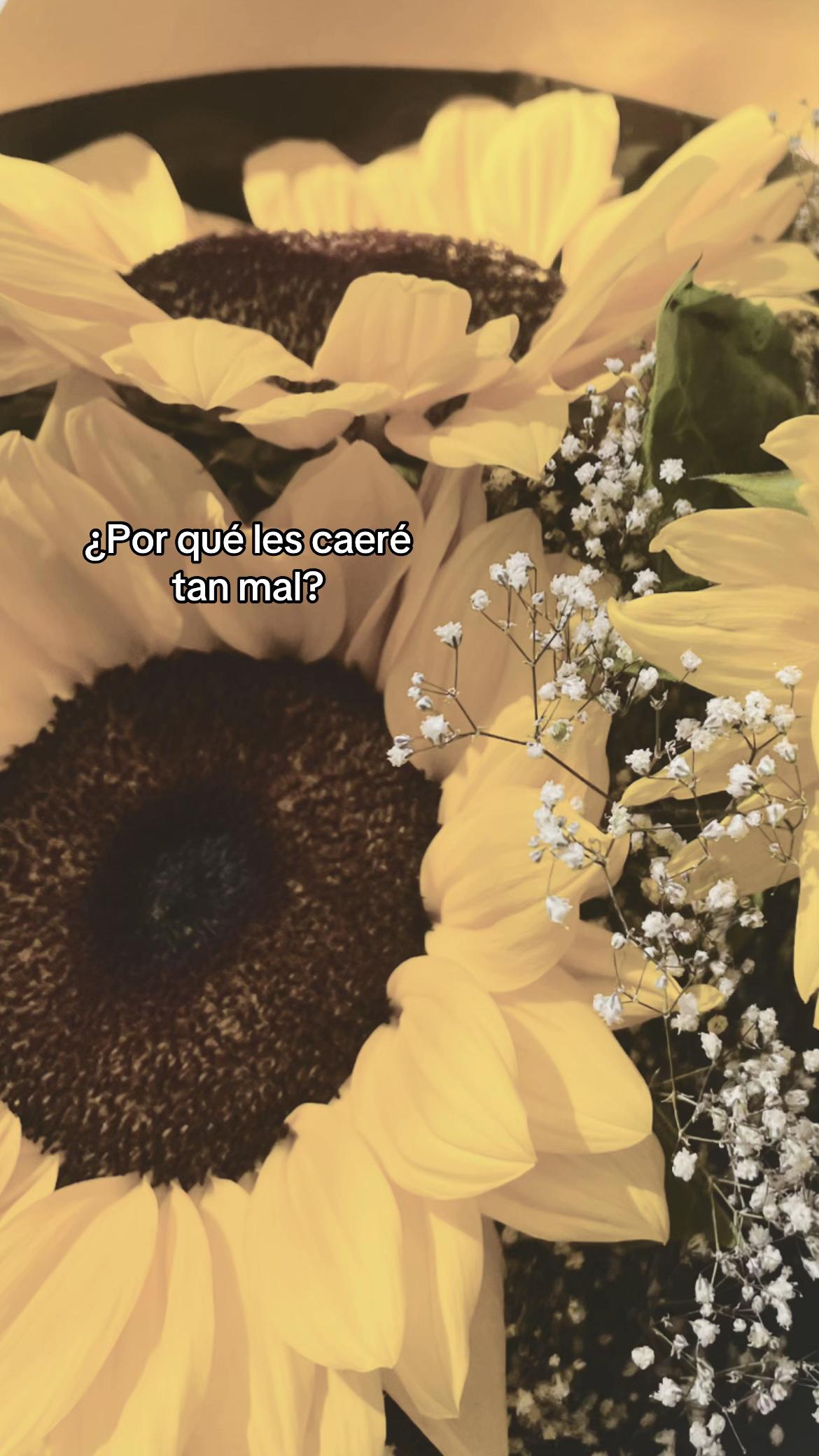 @𝒥𝐵ᥫ᭡