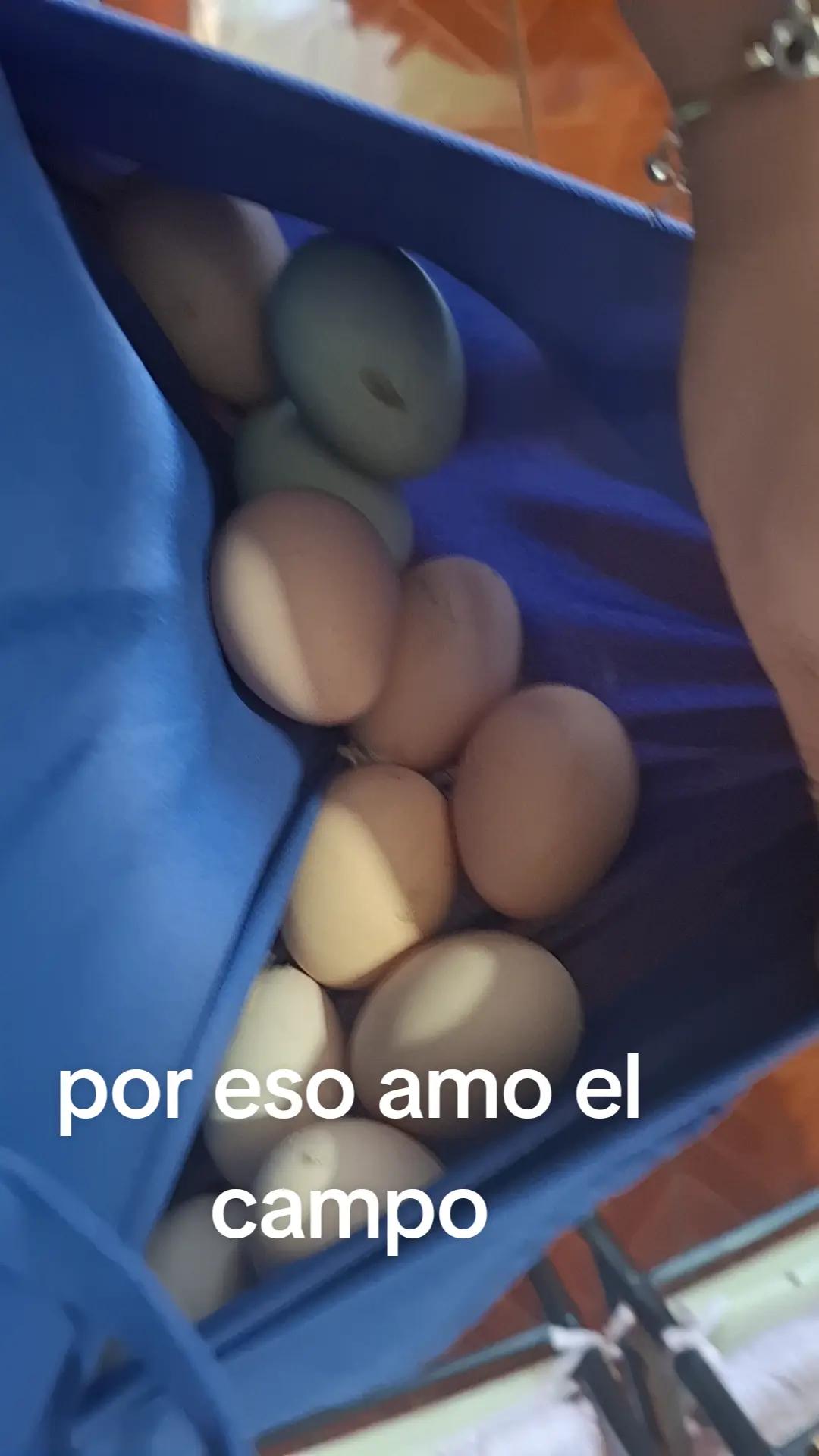 @Evelyn Avila