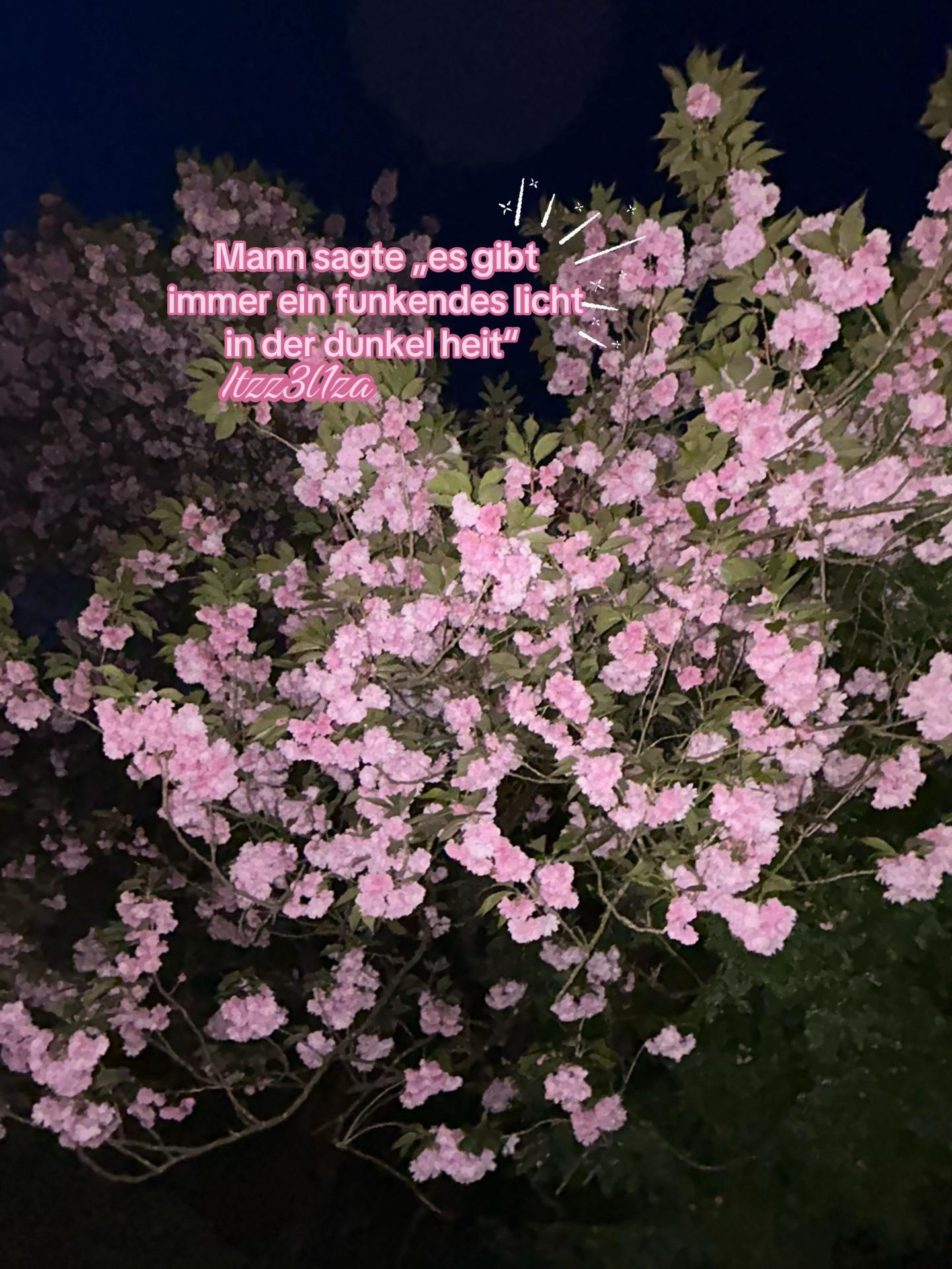 @ᥫ᭡𝐄𝐥𝐢𝐯𝐚 ྀི𝐟𝐚𝐧𝐩𝐚𝐠𝐞
