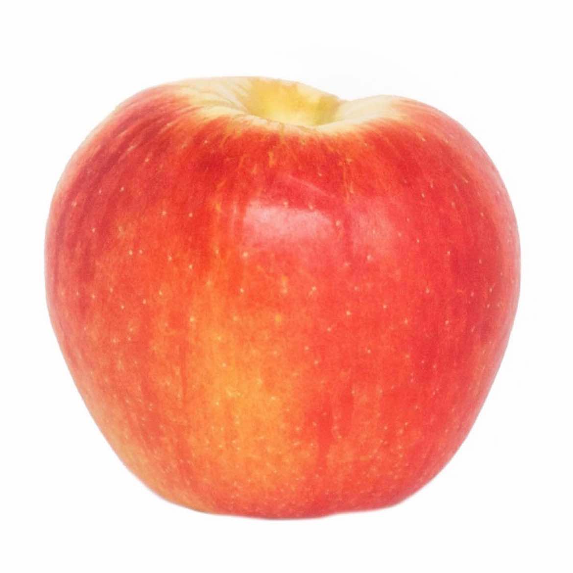 @apple for a brain