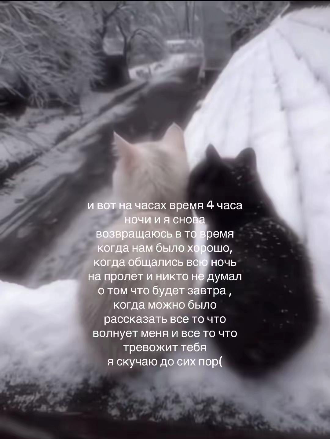 @жена