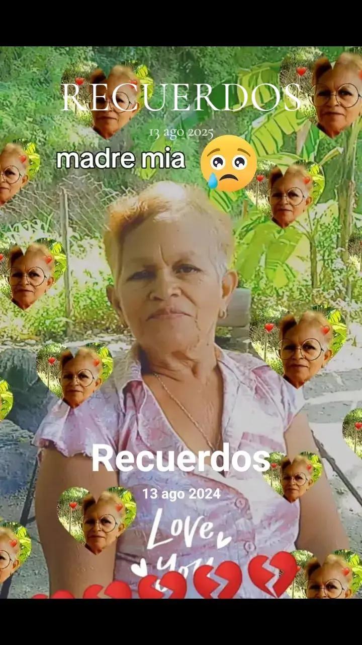@moisés