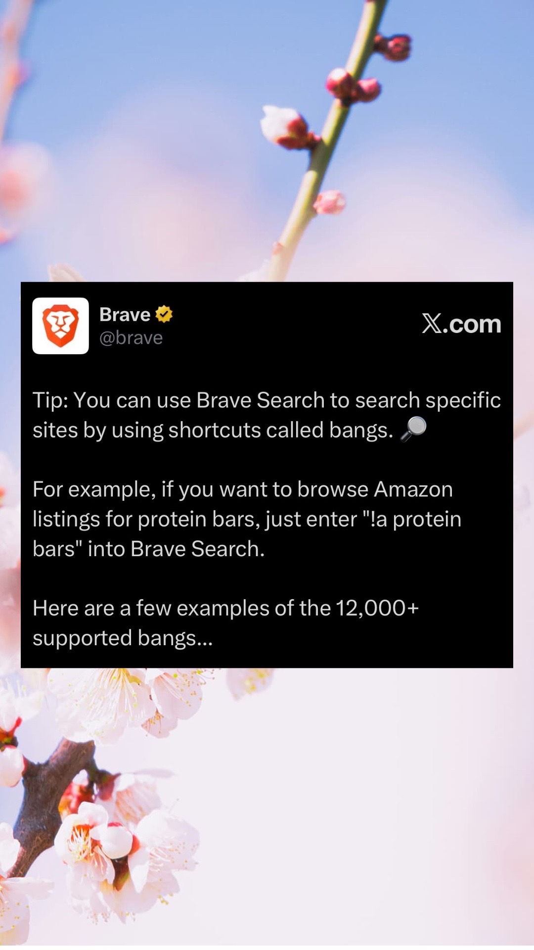 @Brave Browser