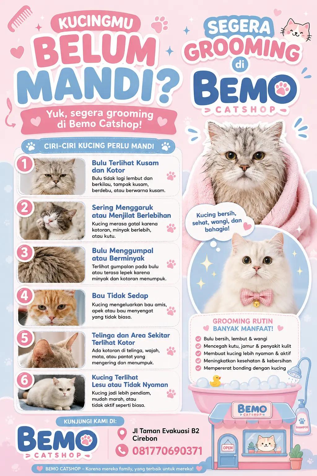 @Bemo Catshop