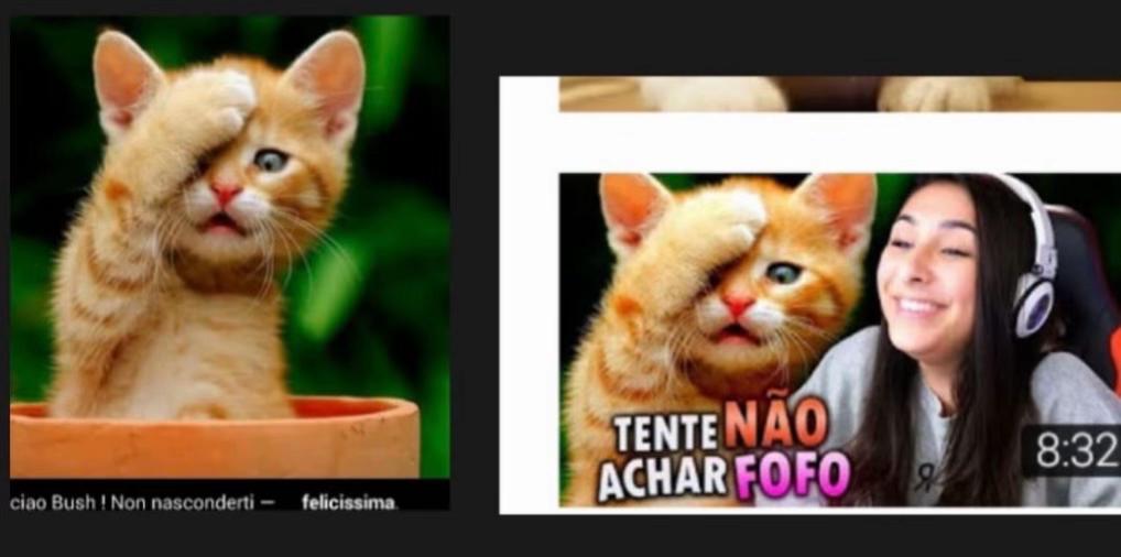 @Mercy Mbone