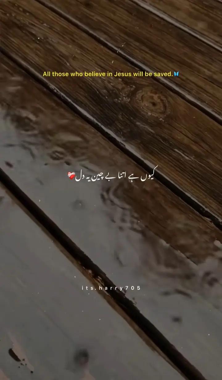 @چٹا صاحب 214✨🖤