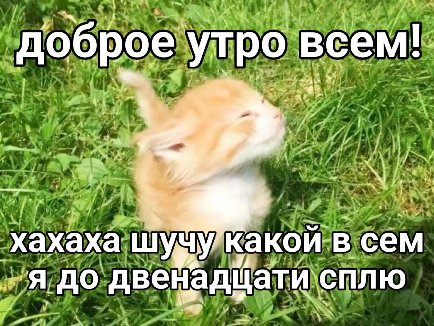 @kryon