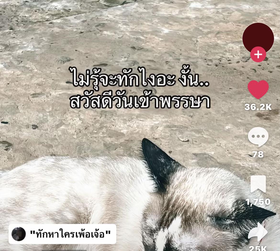 @น้อvแคทเพ้อบ่อย💔