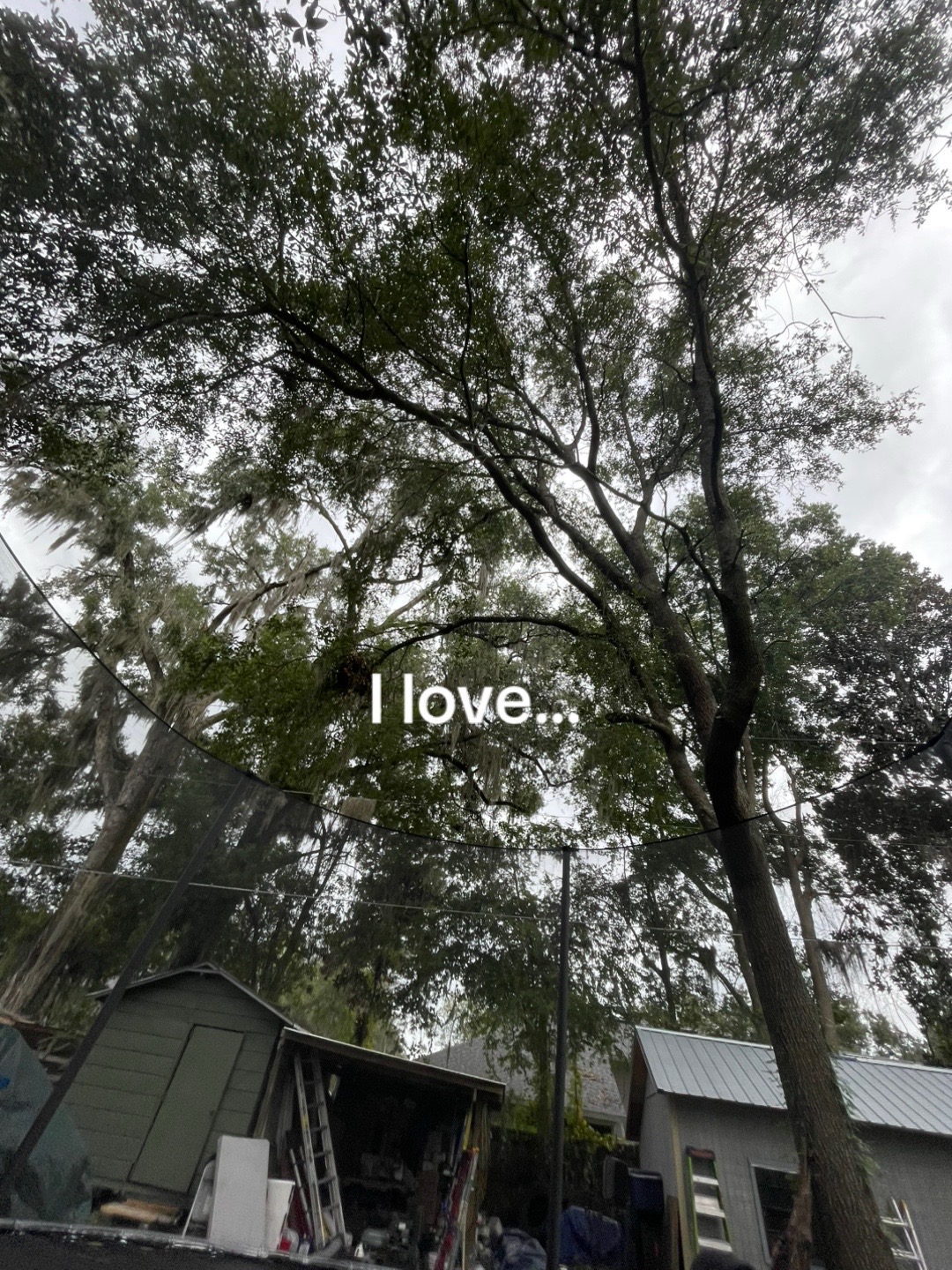 @Еve1yx