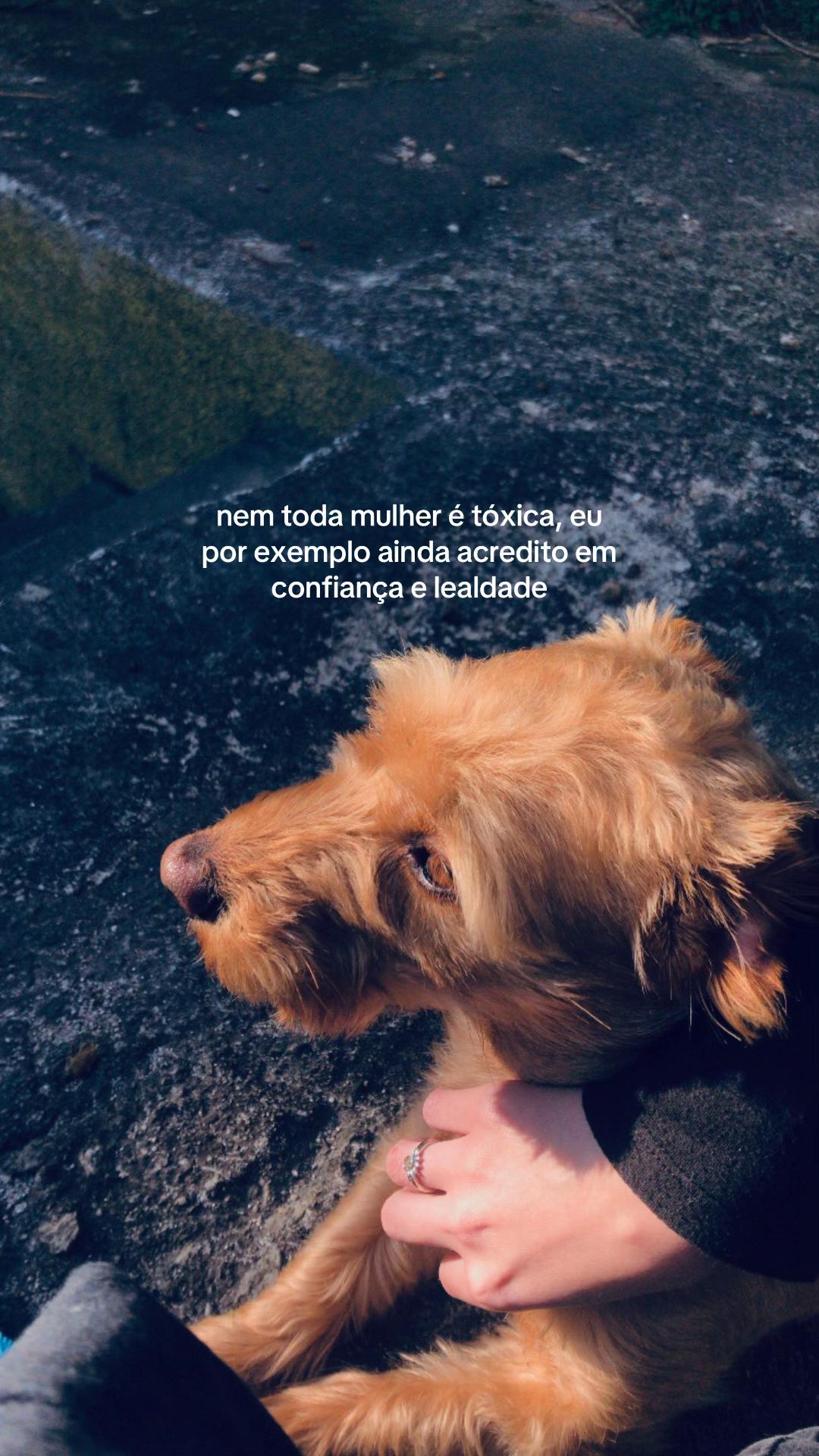 @💐