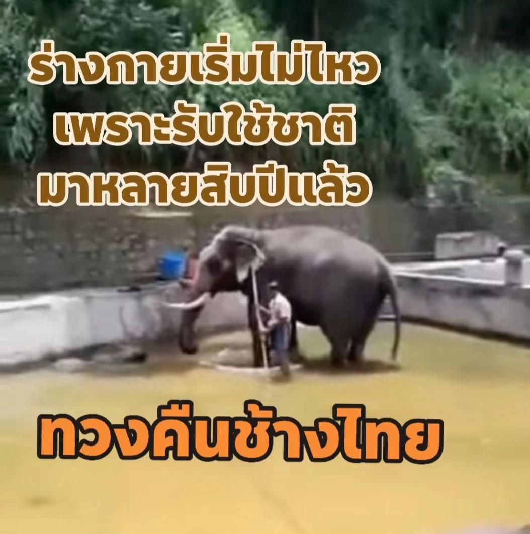 @Animal lover🫶💕