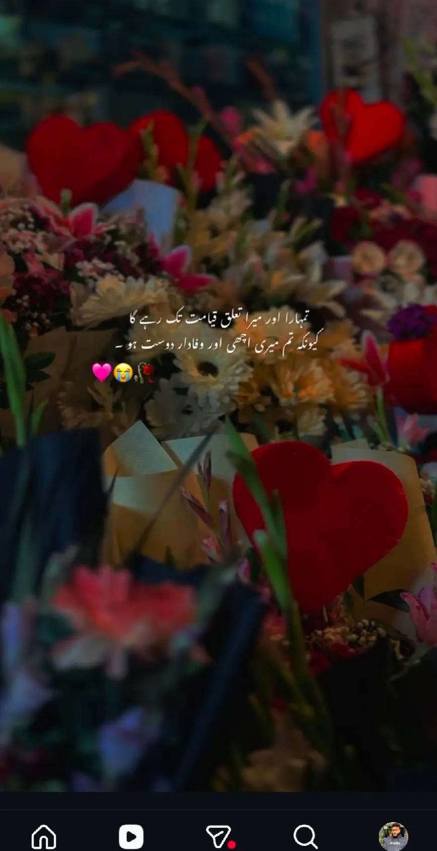 @بلال خان  PMLN)🇦🇪)