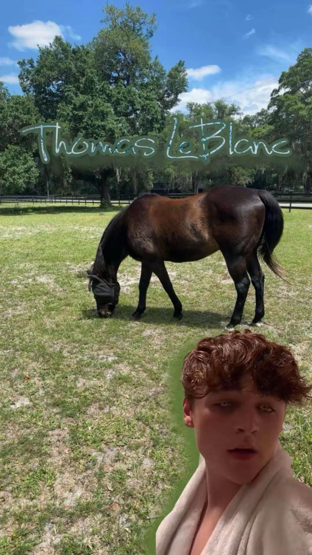 @Marshalltboythompson