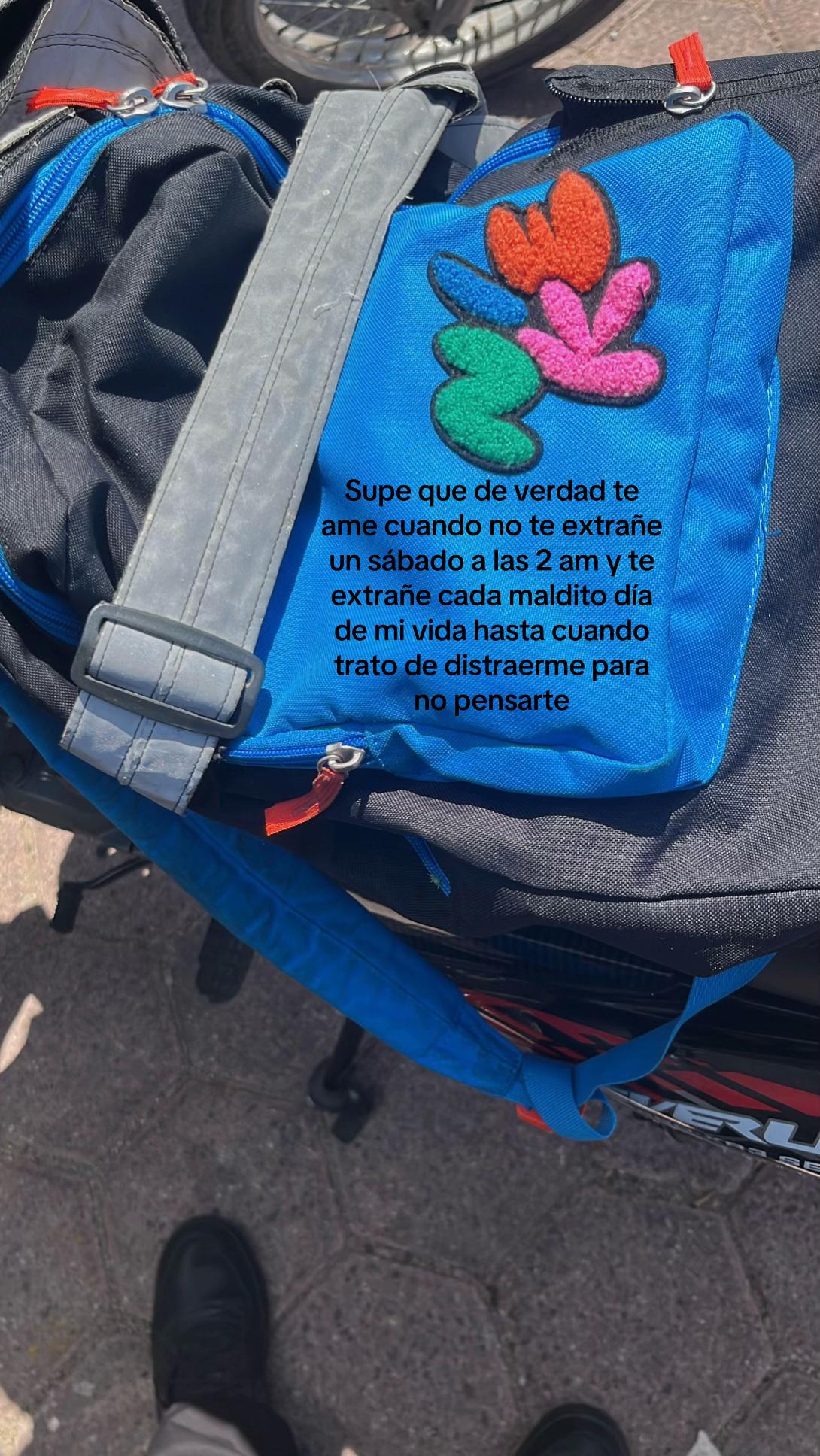 @Pollito_conpapasjaja