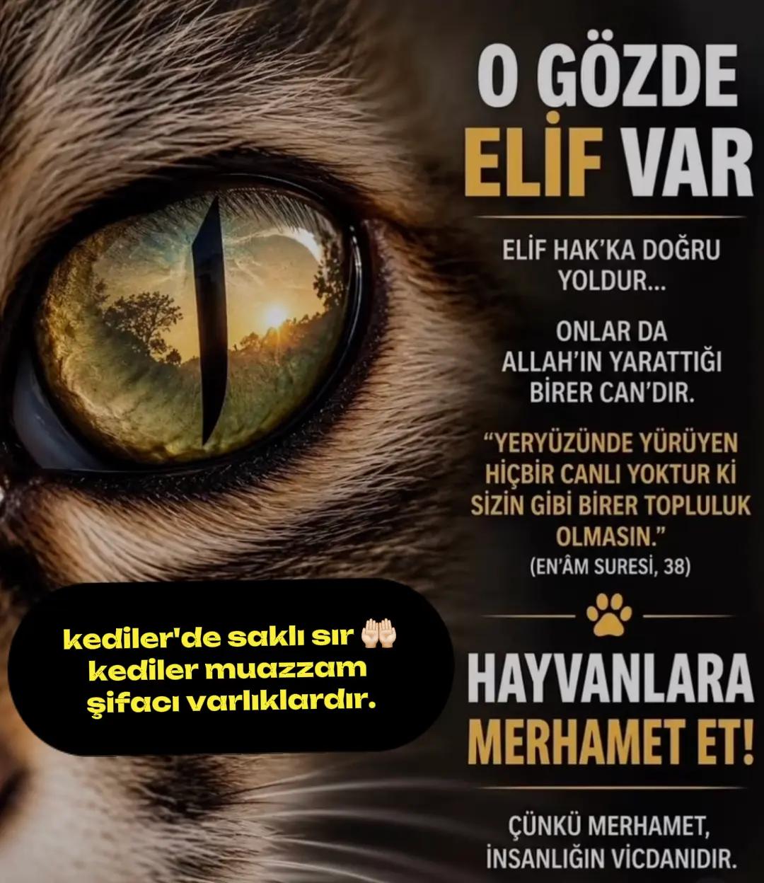 @HAYCAN MEDYA 🌐✔️