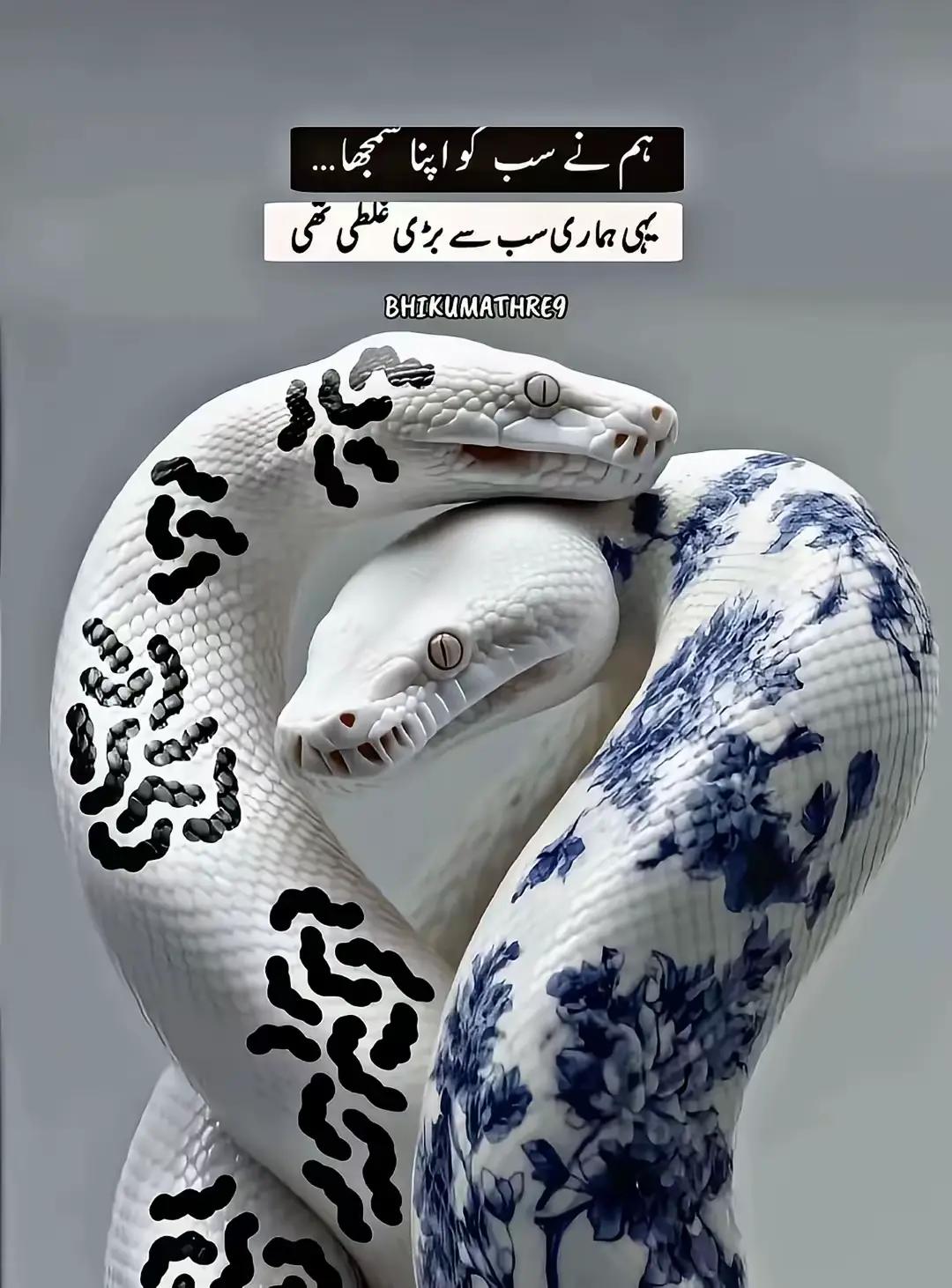 @‼️BACK TO ALLAH‼️