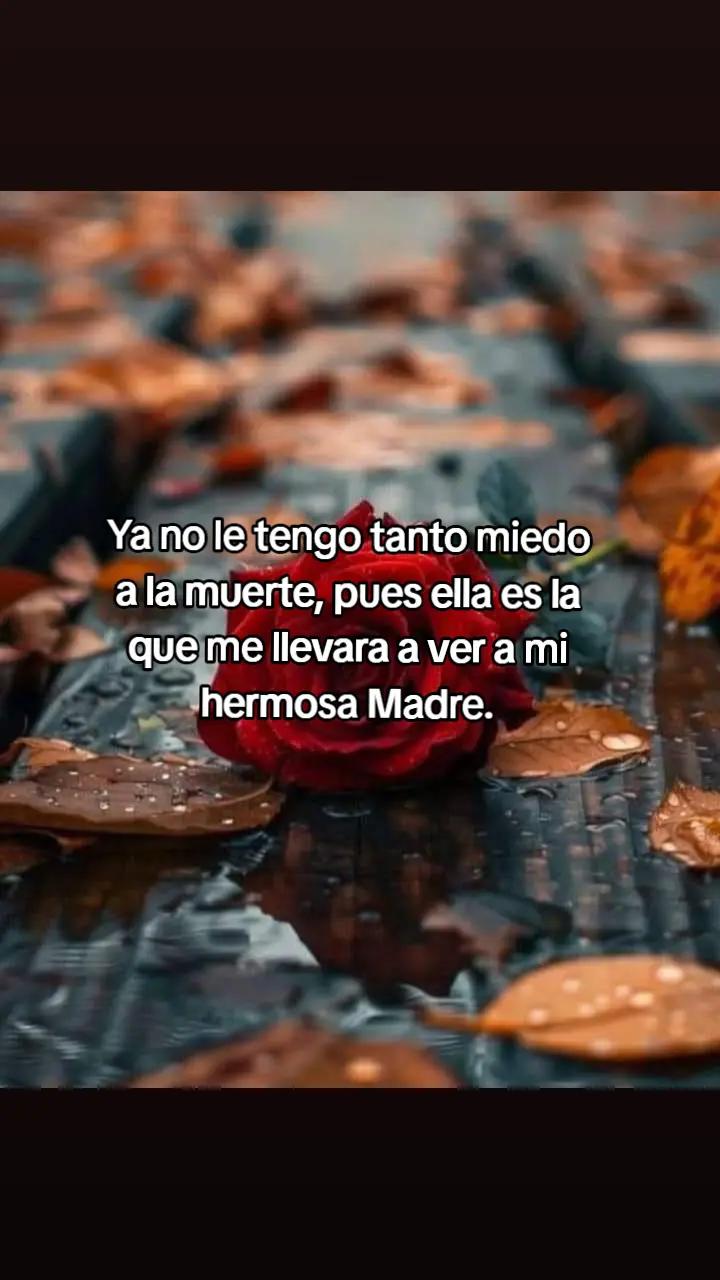 @Cris_Frases