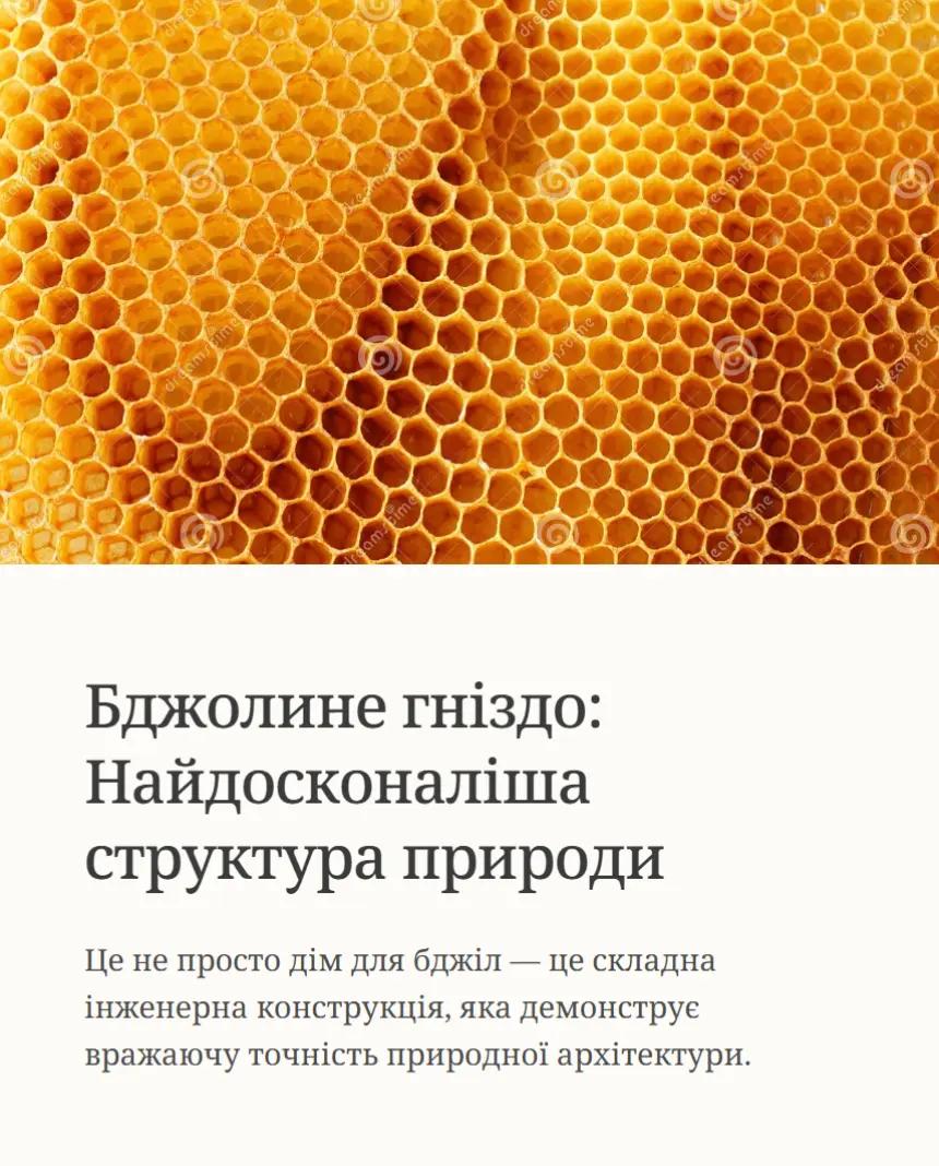 @Аля🐝