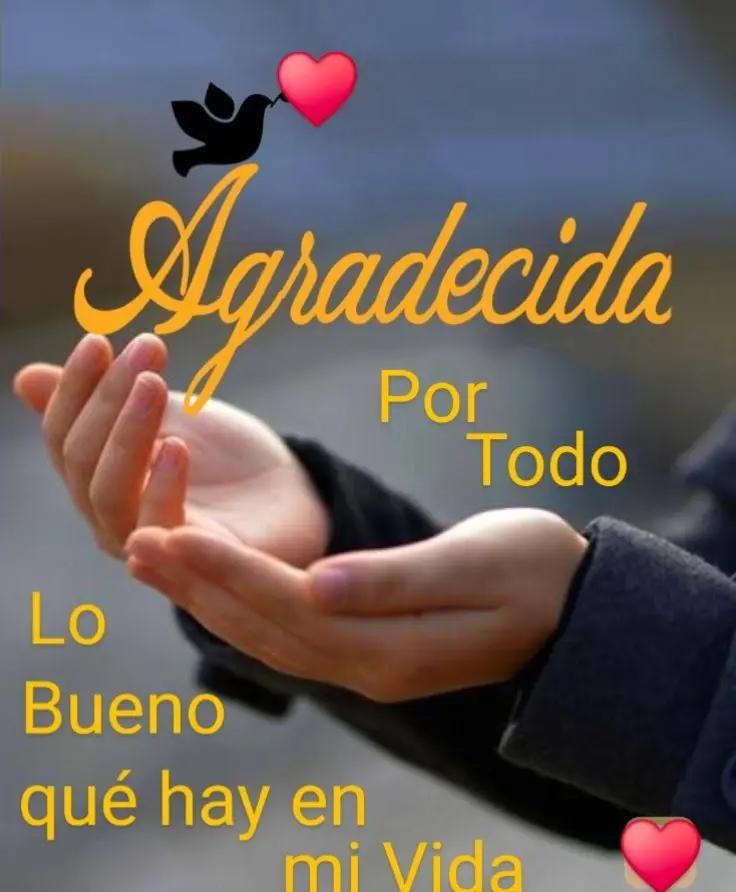 @Tus rolitas, poemas y más 𖣓