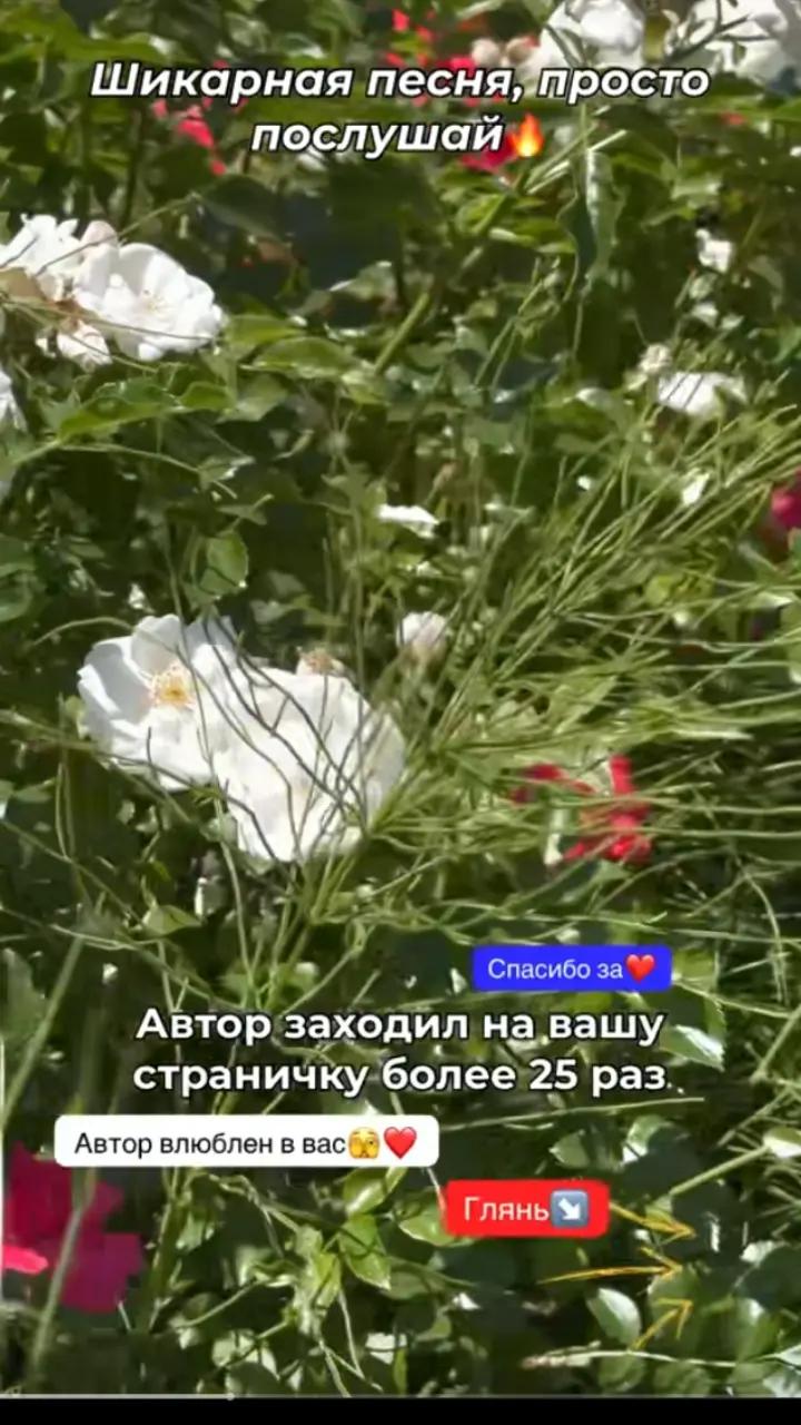 @Володимир ser888888888