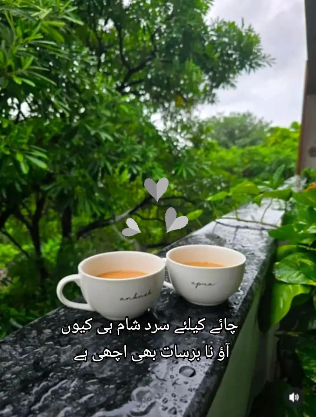 @Hania Malik🇬🇧