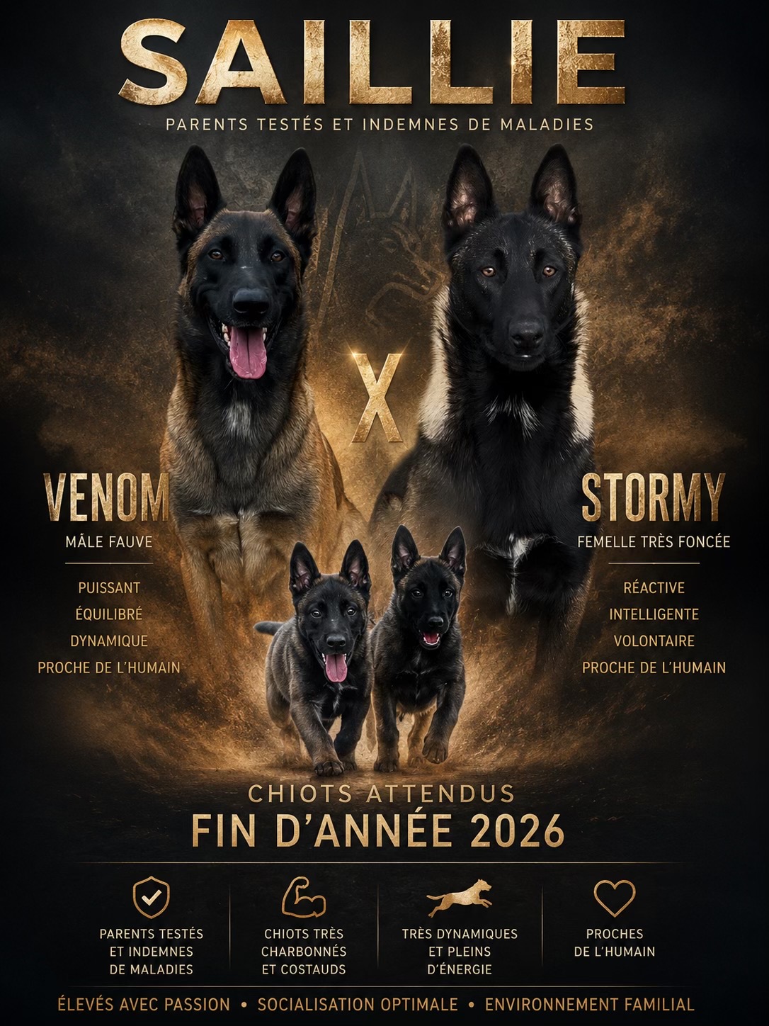 @la_legende_de_venystorm