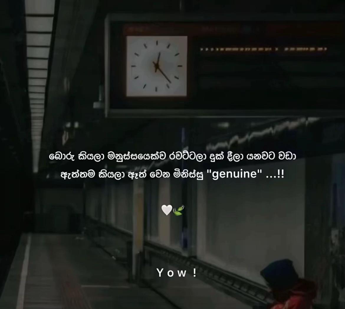 @👅පැලේ 💗🫀3/24 🫶❤️